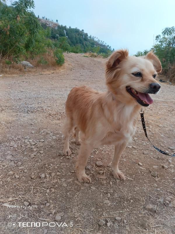 Najma, dolce meticcia Foto 5